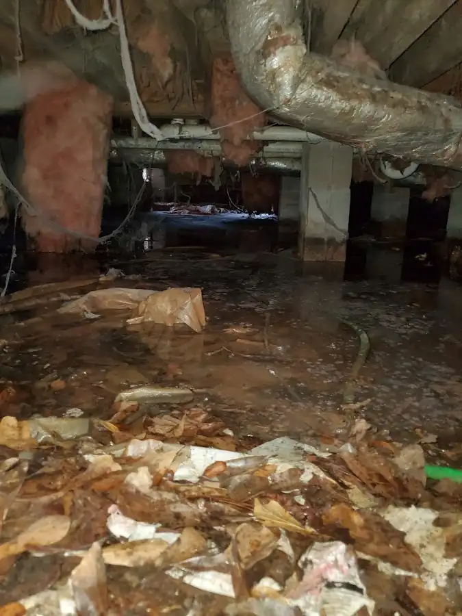 Crawl space flood assessment for Leak Detection & Repair in Prairie Ridge